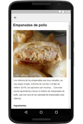 Empanada Recipe android App screenshot 0